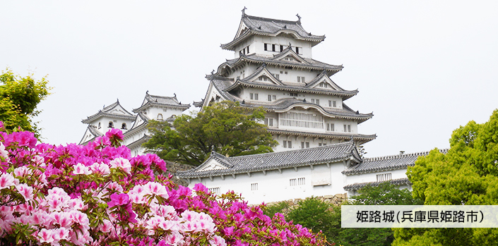 日本作業療法学会　温故知新
